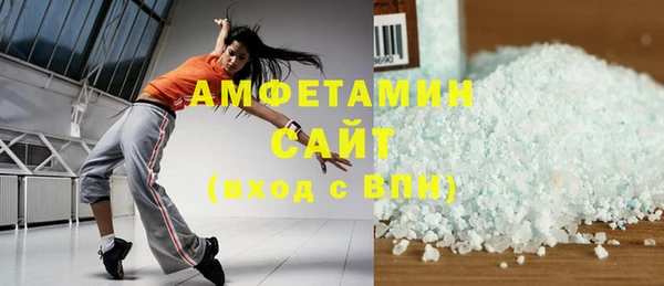 индика Бронницы