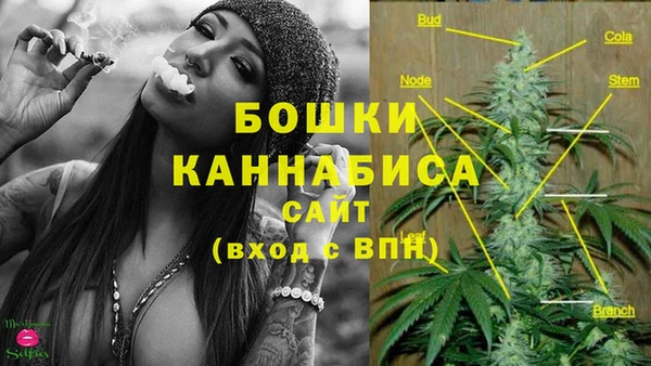 индика Бронницы