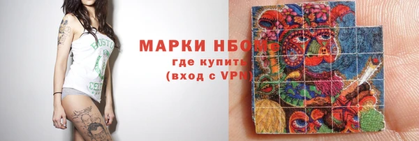 индика Бронницы