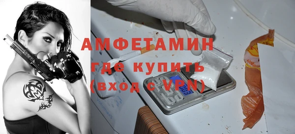индика Бронницы