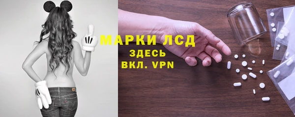 индика Бронницы