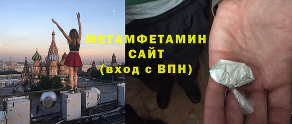 индика Бронницы