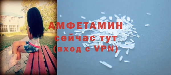индика Бронницы