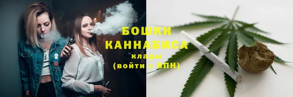 индика Бугульма