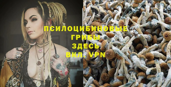 прущая мука Верхний Тагил