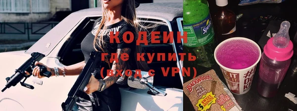 индика Бугульма
